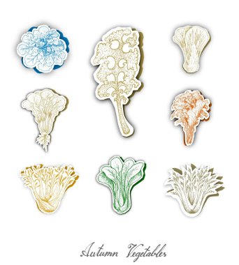 Sonbahar sebze, ayarla, el çizilmiş kroki, karışık salata sebze sonbaharda hasat. Trendy Origami derin kağıt sanat stil oyma. 