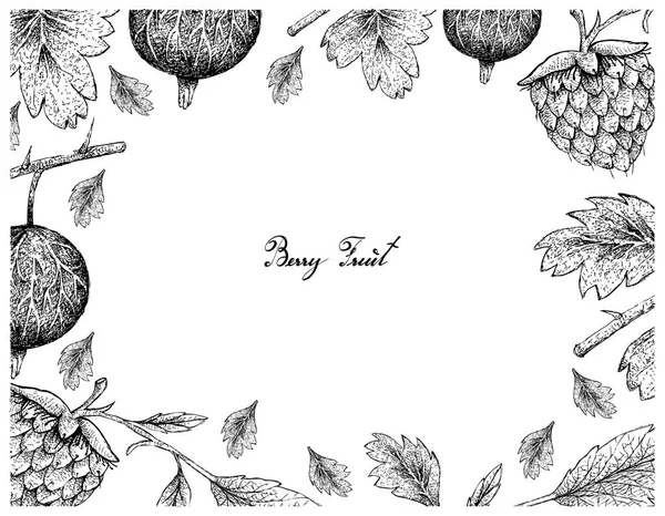 Berry Fruits Illustration Frame Hand Drawn Sketch Fresh Gooseberries Golden — Stock Vector