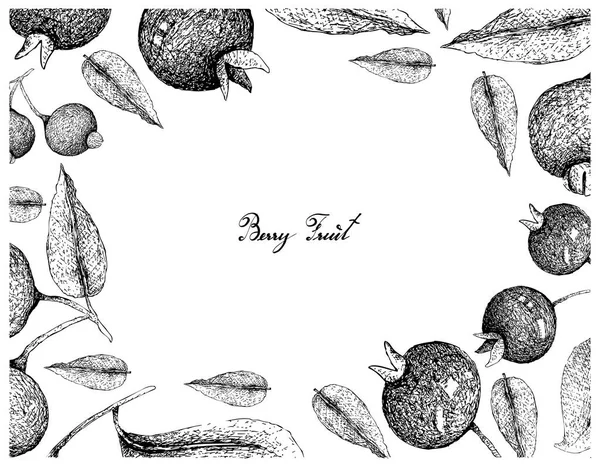 Fruits Baies Illustration Cadre Dessin Main Croquis Cerises Grumichama Fraîches — Image vectorielle