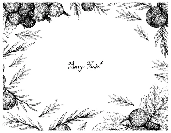 Fruits Baies Cadre Illustration Croquis Dessinés Main Jostaberries Baies Genièvre — Image vectorielle