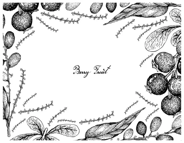 Frutos Bayas Marco Ilustrativo Boceto Dibujado Mano Jostaberries Lepisanthes Rubiginosa — Vector de stock