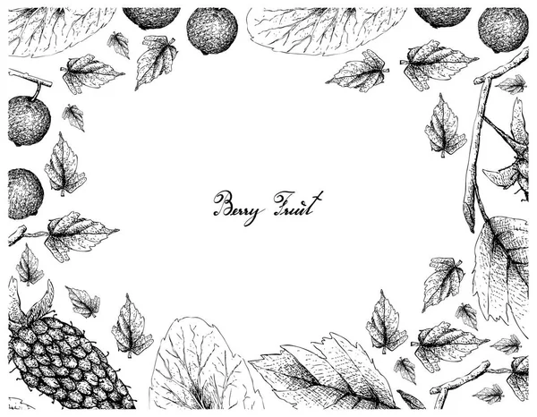 Fruits Aux Baies Illustration Cadre Croquis Dessiné Main Délicieuses Mûres — Image vectorielle