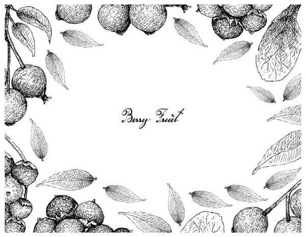 Fruits Baies Cadre Illustration Croquis Dessinés Main Jostaberries Magenta Lilly — Image vectorielle