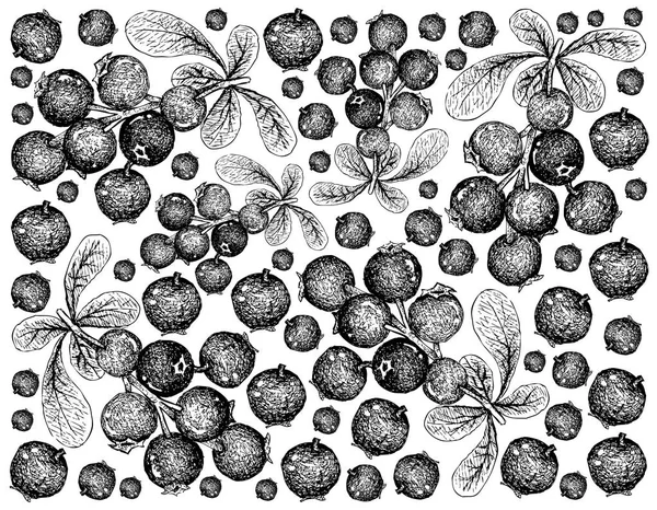 Bessen Fruit Illustratie Wallpaper Van Hand Getrokken Schets Van Jostaberries — Stockvector