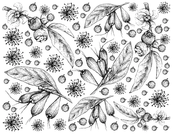 Tropical Fruit Illustration Wallpaper Hand Drawn Sketch Goiaba Anta Mess — Stock vektor