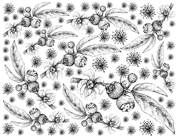 Frutas Tropicales Ilustración Fondo Pantalla Boceto Dibujado Mano Goiaba Anta — Archivo Imágenes Vectoriales