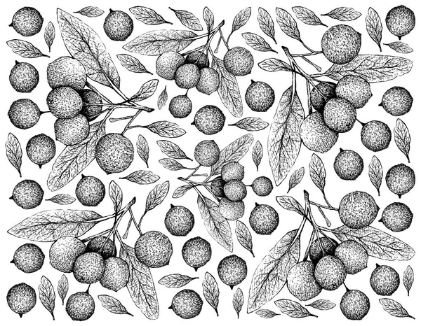 손으로 스케치 벽지와 달콤한 스탠다드 Boscia Senegalensis 배경에 — 스톡 벡터