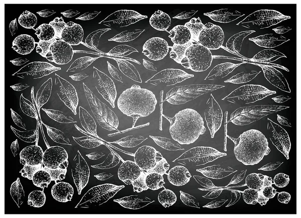 Tropické Ovoce Ilustrace Tapety Pozadí Ručně Kreslené Skici Čerstvého Guabiju — Stockový vektor