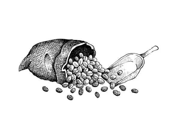 Kaffeezeit Illustration Handgezeichnete Skizze Gerösteter Kaffeebohnen Einer Leinentasche Isoliert Auf — Stockvektor