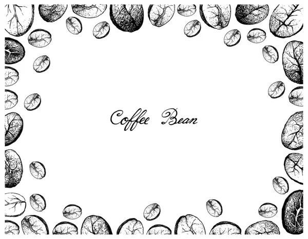 Illustration Cadre Dessin Main Croquis Grains Café Torréfiés Assortis Isolés — Image vectorielle