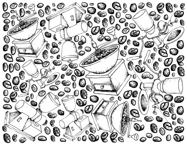 Illustrazione Sfondo Carta Parati Disegno Mano Schizzo Chicchi Caffè Torrefatto — Vettoriale Stock