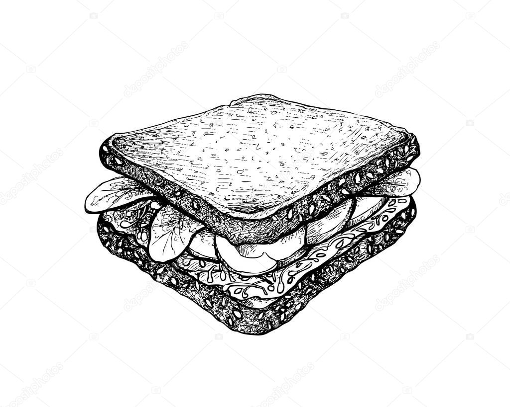 Illustration Hand Drawn Sketch of Delicious Homemade Freshly Healthy Whole Grain Bread Sandwich with Avocado, Cucumber, Lettuce and Healthy Vegetables Isolated on White Background.