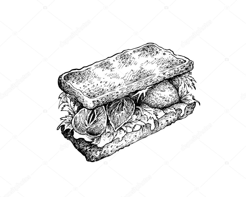 Illustration Hand Drawn Sketch of Delicious Homemade Freshly Vegetarian Sandwich with Tomatoes, Lettuce and Strawberries Isolated on White Background.