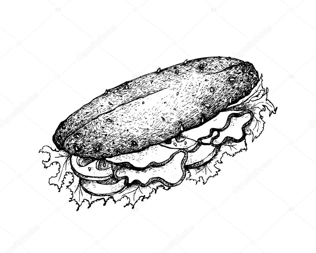 Illustration Hand Drawn Sketch of Delicious Homemade Freshly Baguette Sandwich with Ham, Tomatoes, Lettuce, Cucumber and Cheese Isolated on White Background.