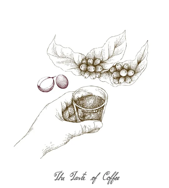 Taste Coffee Illustrazione Disegnato Mano Schizzo Mano Che Tiene Colpo — Vettoriale Stock