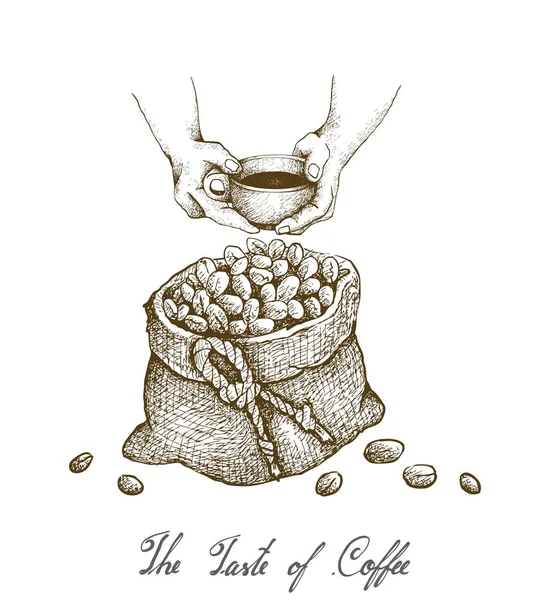 Taste Coffee Illustrazione Disegno Disegnato Mano Che Tiene Una Tazza — Vettoriale Stock