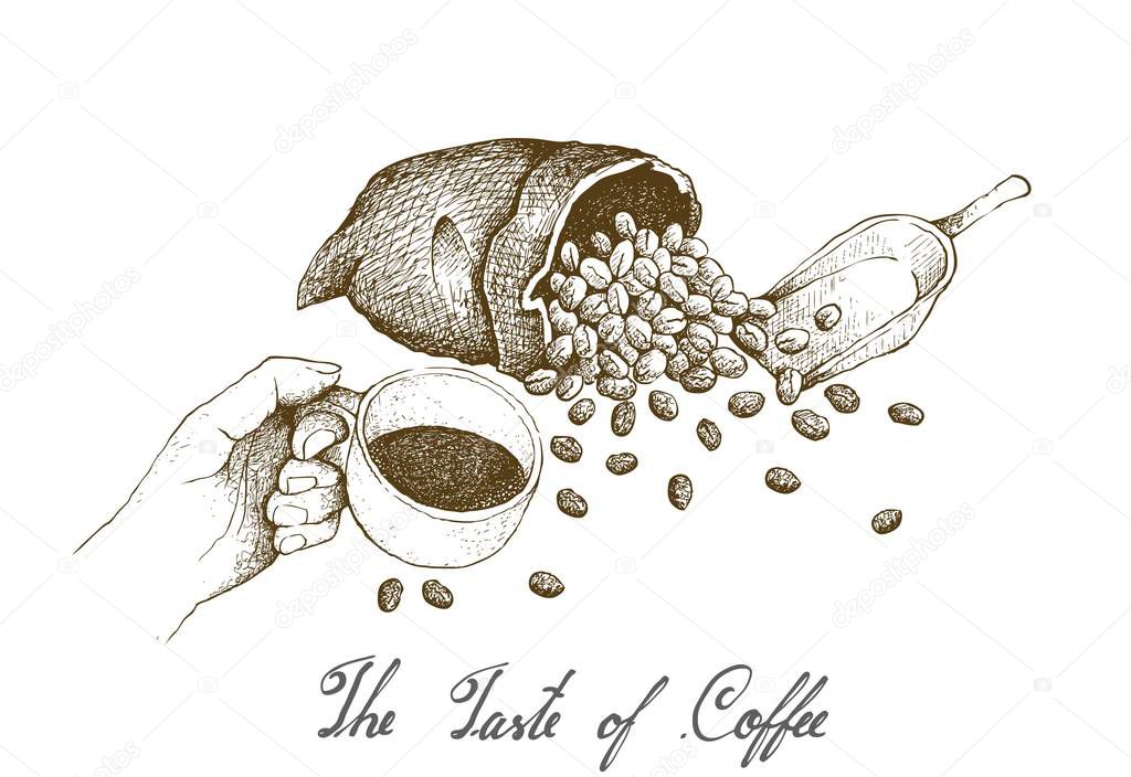 The Taste of Coffee, Illustration Hand Drawn Sketch of Hand Holding A Cup of Coffee with Roasted Coffee Beans in A Canvas Bag Isolated on White Background.