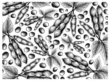 Elle çizilmiş taze yeşil soya fasulyesi arka planını
