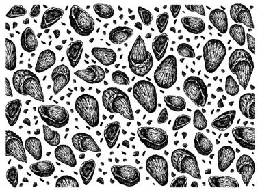 Badem Fındık Arka Plan El Çizilmiş Duvar Kağıdı