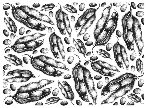 Dibujado a mano de fondo de soja verde fresca — Archivo Imágenes Vectoriales