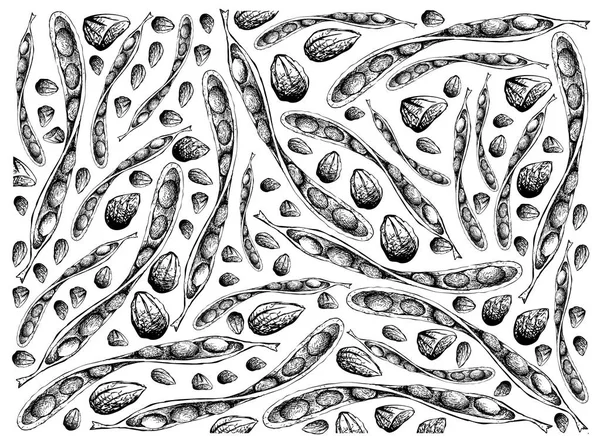 Desenho desenhado à mão de Fundo de Feijão de Cluster Torcido —  Vetores de Stock