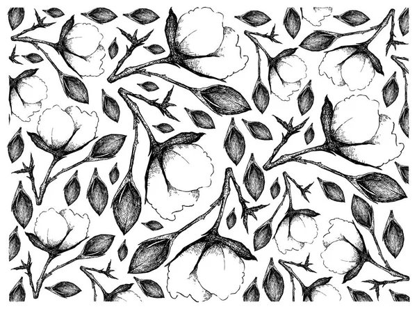 Dibujado a mano de flores de algodón con fondo de brotes — Vector de stock