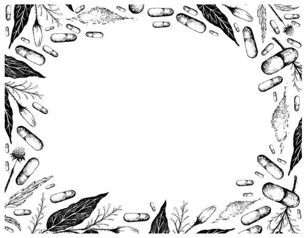 Φυτικά Φυτά Και Βότανα Ζωγραφισμένα Στο Χέρι Πλαίσιο Εικονογράφησης Kariyat — Διανυσματικό Αρχείο