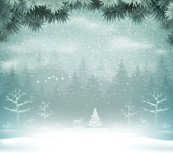 Kış orman manzarası kar yağışı.