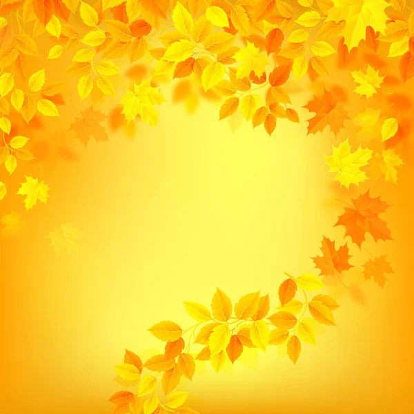 Autumn background maple leaves — Stock Vector