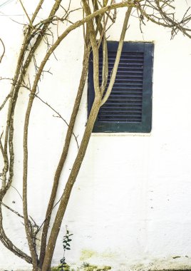 Yeşil bir ev penceresinde