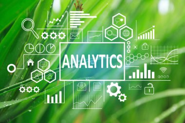 İş kavramı. Analytics geliştirme kelime sabah arka planda çiy ile taze ıslak yeşil çimenlerin üzerinde