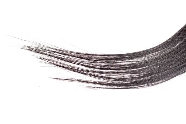 Курчавые Черные Длинные Волосы Изолированы Белом Фоне Расширение Волос Крупным — стоковое фото