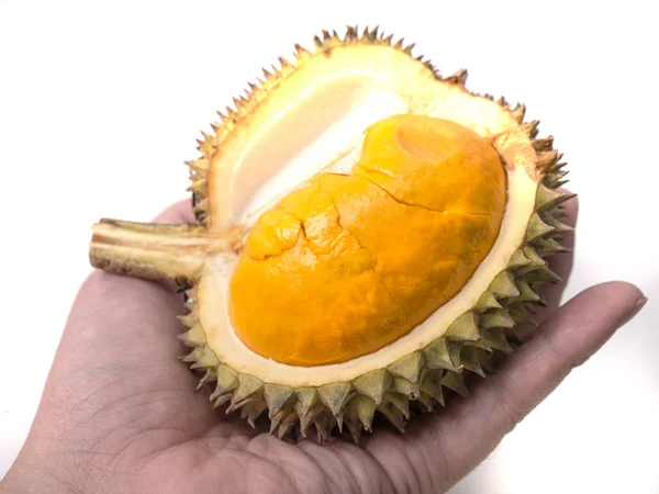 Durian Lai Durio Kutejensis Durian Amarillo Borneo Kalimantan También Conocido — Foto de Stock