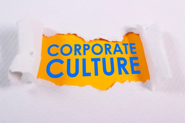 企業文化、意欲的なビジネス用語引用コンセプト — ストック写真