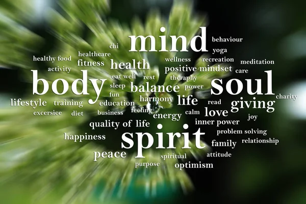 Body Mind Soul Spirit, Motivational Words Quotes Concept — Stock Photo, Image