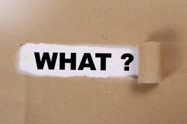 Ne, Questional kelimeler kavramı Quotes