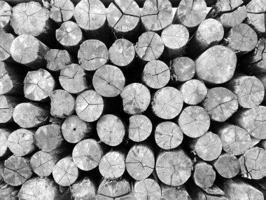 Eski Ahşap Arkaplan