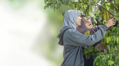 Müslüman Anne ve Kızı Ev Bahçesinde Meyve Hasat