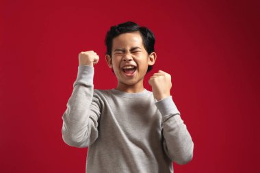 Gri tişörtlü yakışıklı Asyalı çocuğun portresi, kazanan jesti gösteriyor ve kameraya gülümsüyor, kırmızı arka plana karşı kazanılan zaferi kutluyor.