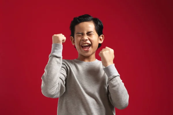 Portrét Roztomilé Chytrý Mladý Asijský Chlapec Šedé Košili Ukazuje Vítězné — Stock fotografie