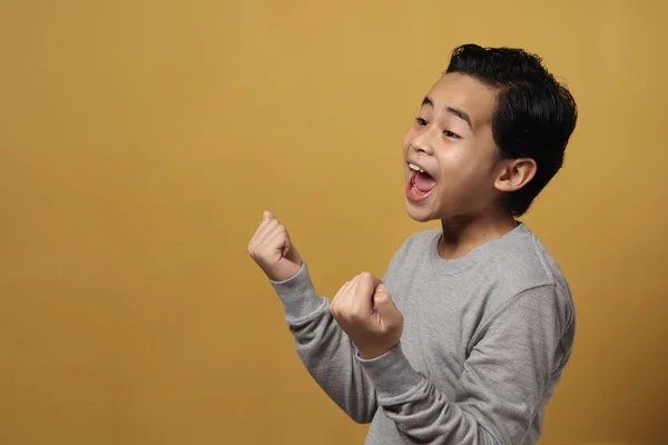 Retrato Lindo Chico Asiático Inteligente Con Camisa Gris Muestra Gesto — Foto de Stock