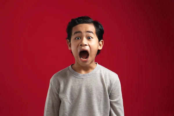 Ung Asiatisk Pojke Tittar Kameran Med Öppen Mun Och Stora — Stockfoto