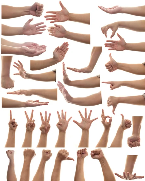 多对成人手的手势在白色背景下隔离 人体各部分设计元素 — 图库照片