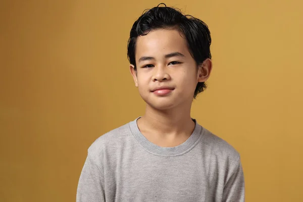 Porträtt Söt Smart Asiatisk Pojke Bär Grå Skjorta Tittar Kameran — Stockfoto