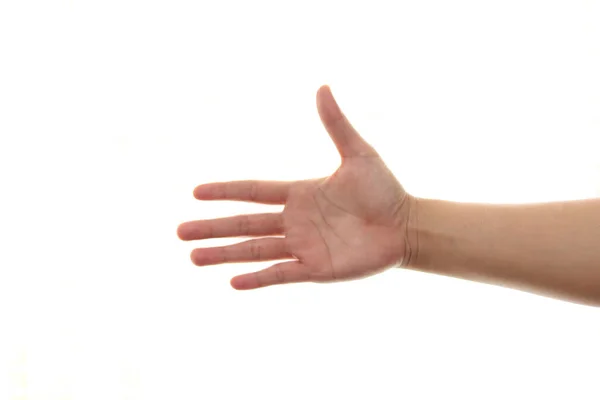 Yetişkin Elleri Beyaz Arkaplanda Izole Edilmiş Sıkışma Sunuyor Kopyalama Alanı — Stok fotoğraf