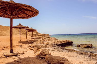 Kızıldeniz'de güzel kumlu plaj, Mısır yakınlarında