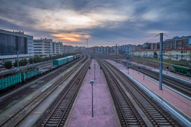 sis, ufuk noktası ile perspektifi ile bir istasyon ayakta tren çanta