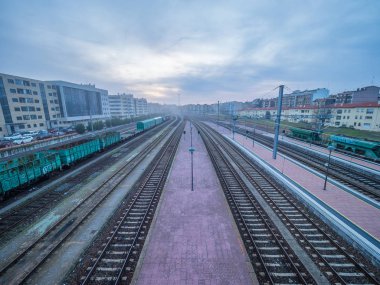 sis, ufuk noktası ile perspektifi ile bir istasyon ayakta tren çanta