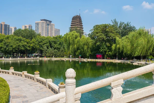 Büyük pagoda yaban kazı, xiam, Çin