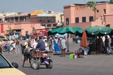 Su damlalı mor çiçek - Taçlarında köpüklü su damlacıkları ve yumuşak, bulanık bir arkaplanı olan canlı bir mor çiçeğin makro yakın çekimi.